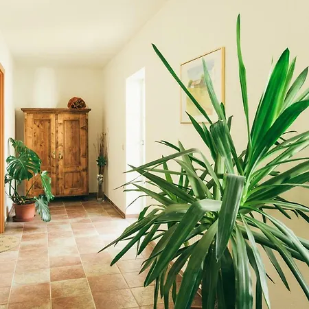 بيت ضيافة Gaestezimmer Sengstschmid Windhaag bei Freistadt