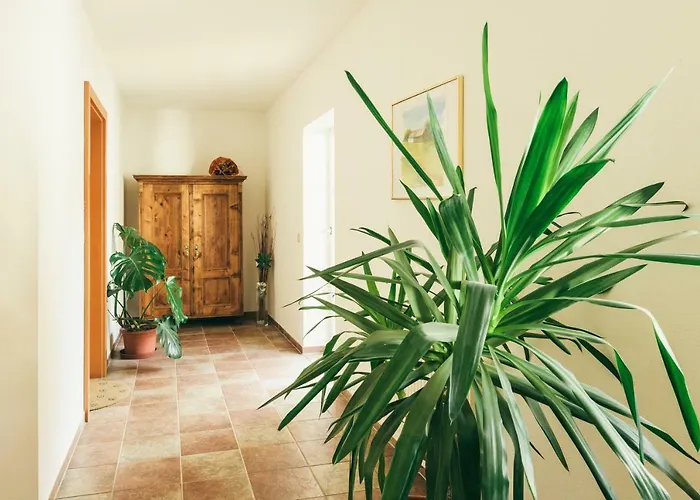 بيت ضيافة Gaestezimmer Sengstschmid Windhaag bei Freistadt